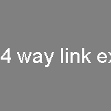 4 way link exchange