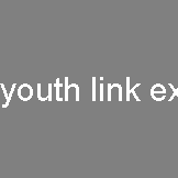 youth link exchange
